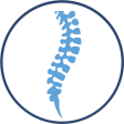 317-3173744_spine-center-officite-chiropractic-practice